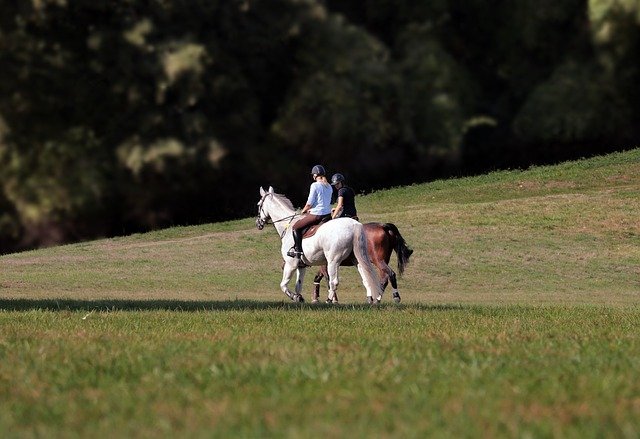 Insurance for therapeutic riding instructors. Necessary for any business